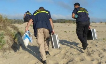 Crimen de Lola: la jueza liberó a los detenidos y espera las pruebas científicas