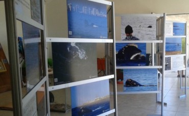 Museos en La Paloma: mucho más que sol y playa