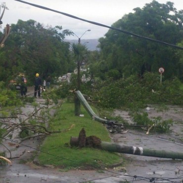 Turbonada generó destrozos en Rocha