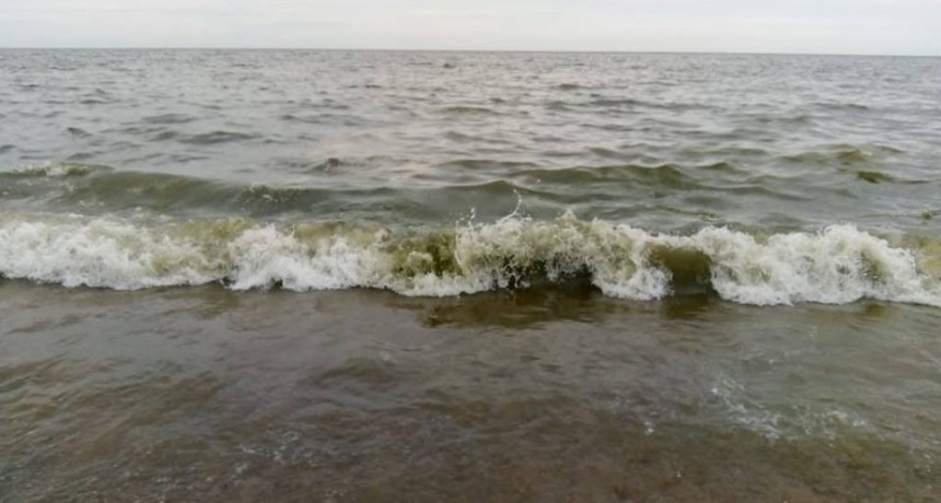 Detectaron cianobacterias en playas de La Paloma