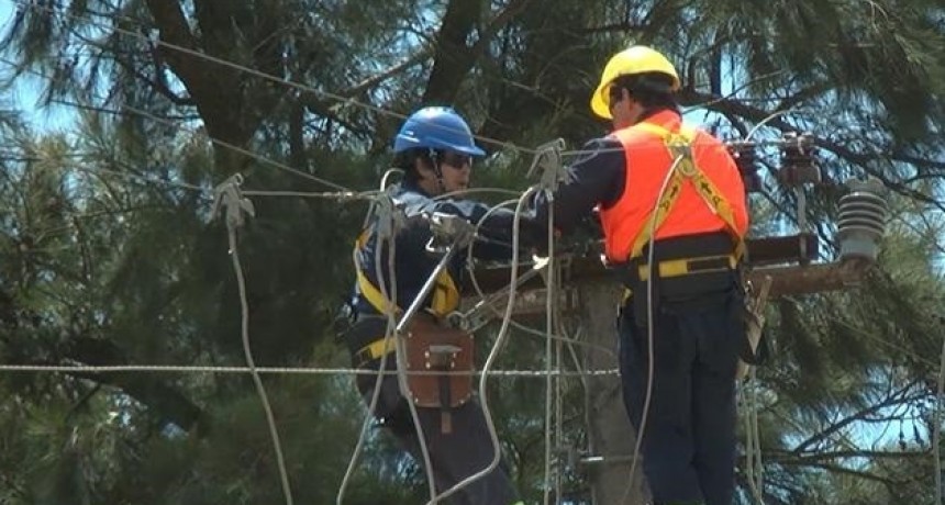 Caída de un árbol dejó varias zonas sin luz en La Paloma