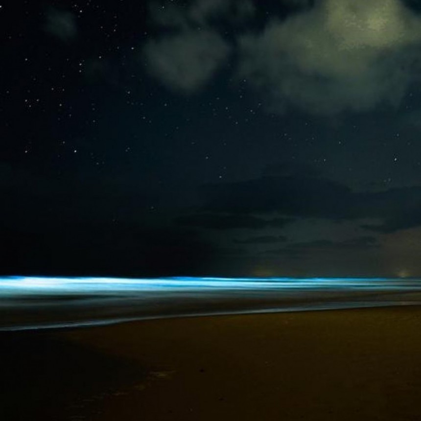 Alexandrium affine: el fenómeno que tiñe las olas de azul