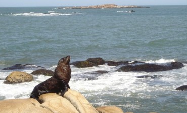 Hablando de lobos