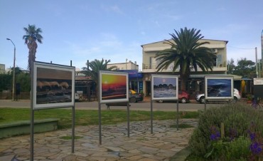 Una muestra para ver las 24 horas