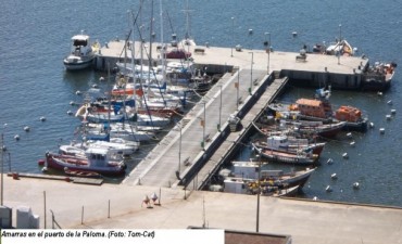 Pintado inaugura obras en Puerto La Paloma