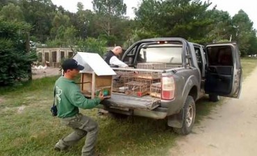 Vuelta al hogar