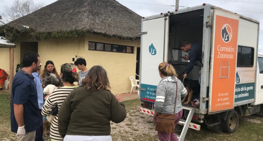 Primera jornada de castraciones del año se realizará en Costa Azul