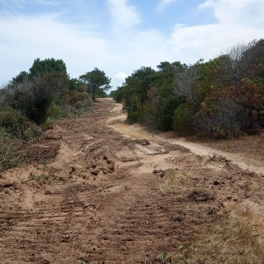 Santa Isabel: vecinos juntan firmas para que arreglen las calles del balneario