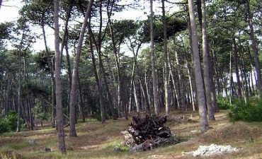 Empezamos el otoño