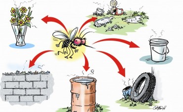 “El mensaje es claro: si no hay mosquito no hay Dengue, ni Zika, ni Chikungunya”
