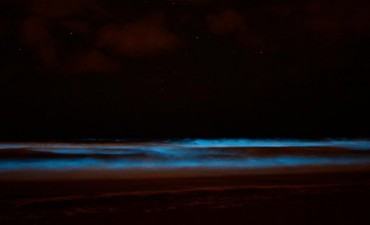 El fenómeno de olas azules volvió a las playas de La Paloma