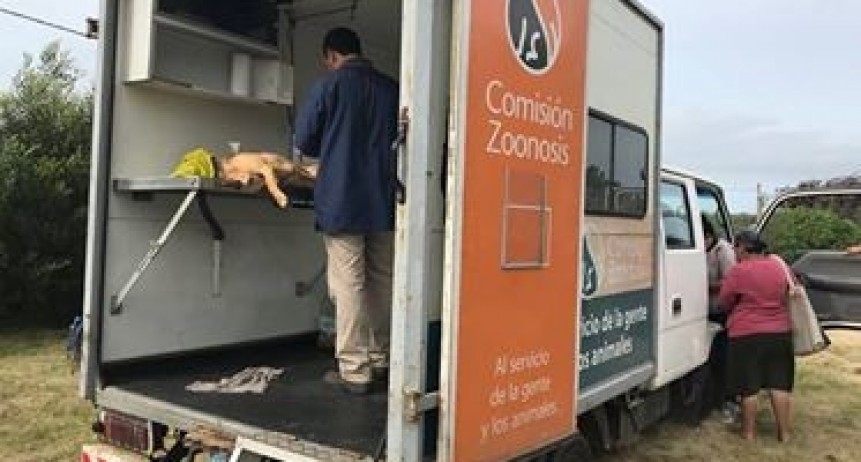 Jornada de castraciones en La Paloma