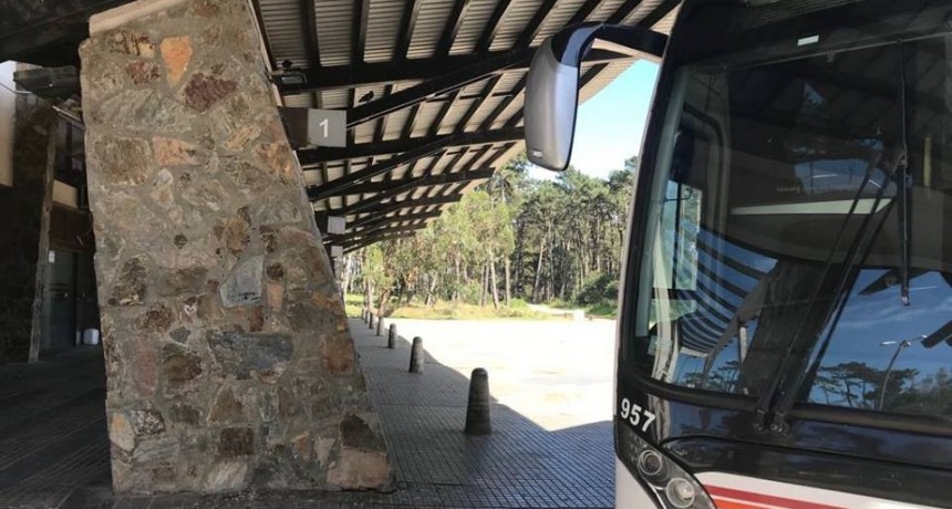 Emergencia sanitaria: empresas de ómnibus cancelaron frecuencias 