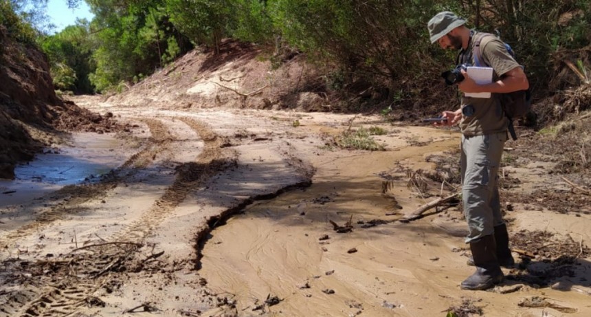 Ministerio de Ambiente resolvió frenar la obra del camino de ingreso a Cerro Verde