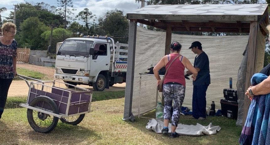 Se viene la primera jornada de castraciones del año