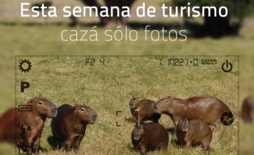Cazador cazado