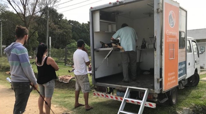 Se castraron 22 perros en Barrio Parque