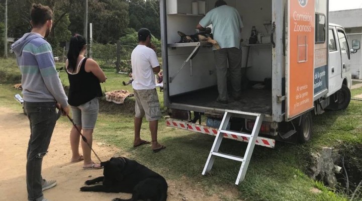 Jornada de castraciones en Arachania
