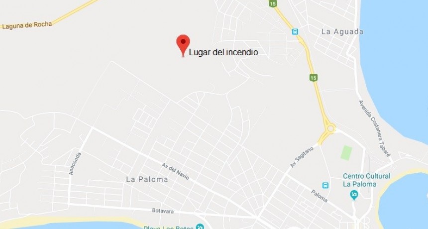 Más de 20 hectáreas arrasadas por el fuego en Barrio Parque