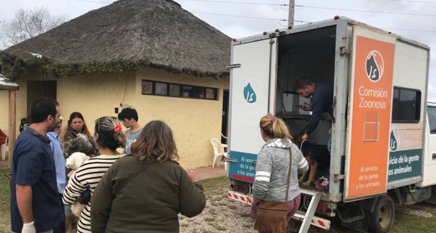 Se realizaron 35 castraciones en Costa Azul