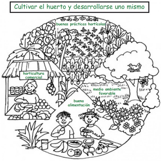 Conociendo e interactuando con el suelo