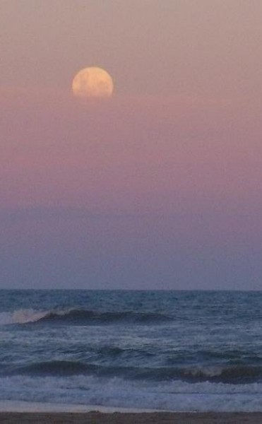 Lunes de Luna: un evento que ocurre dos o tres veces cada siglo tendrá lugar en Mayo