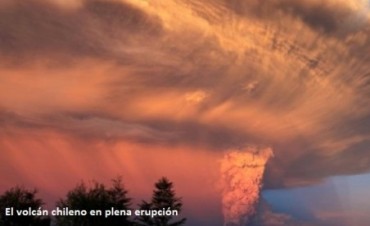 Cenizas en el cielo de La Paloma