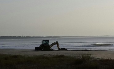 Enterraron ballena que había encallado en Arachania