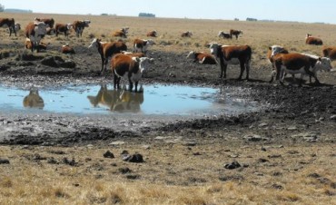 Gobierno subsidiará créditos a productores familiares en emergencia agopecuaria