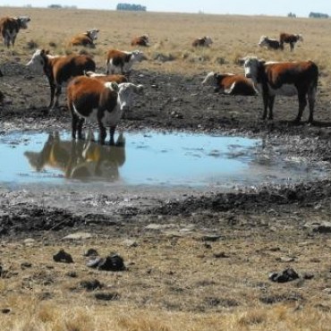 El sábado vuelve la lluvia y baja la temperatura
