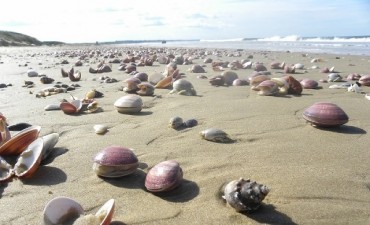Mar dulce