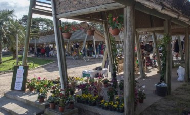 Sábados de feria