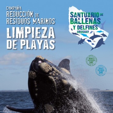 La Paloma: el 6 de junio habrá limpieza de playas