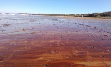 La Paloma: el Municipio busca implementar sistema para secar la arena de algunas playas