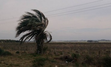 Atención Rocha: rige alerta naranja por vientos muy fuertes