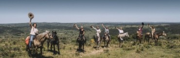Curso  Introducción al Mundo de los Caballos