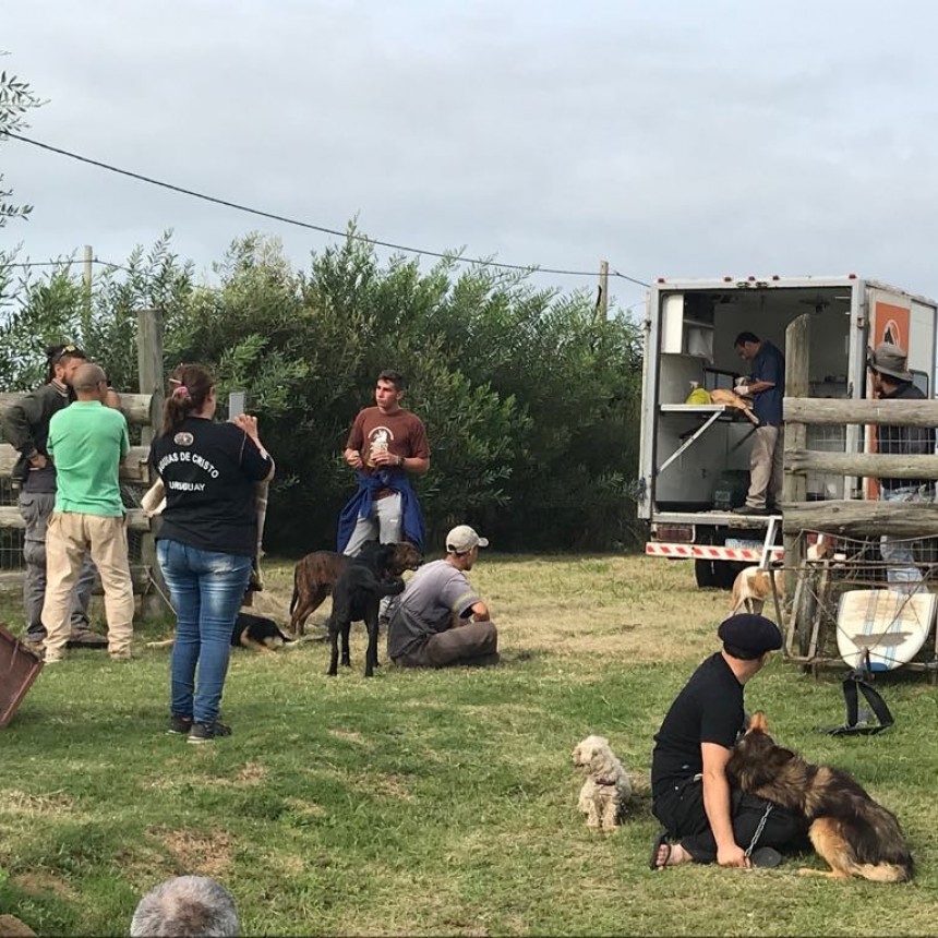 Nueva jornada de castraciones en Costa Azul