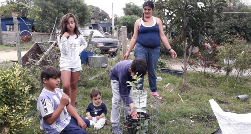 Solidaridad en tiempo de pandemia: ayudan a armar huertas familiares
