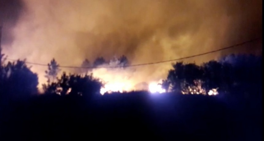 Incendio en Punta del Diablo: Bomberos de La Paloma trabajan en el lugar