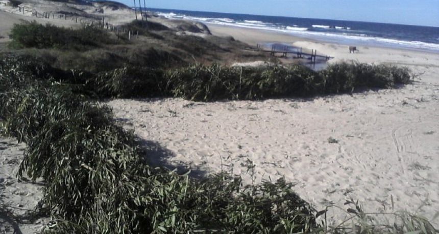 El Municipio volverá a hacer cercas captoras ante la pérdida de arena en las playas