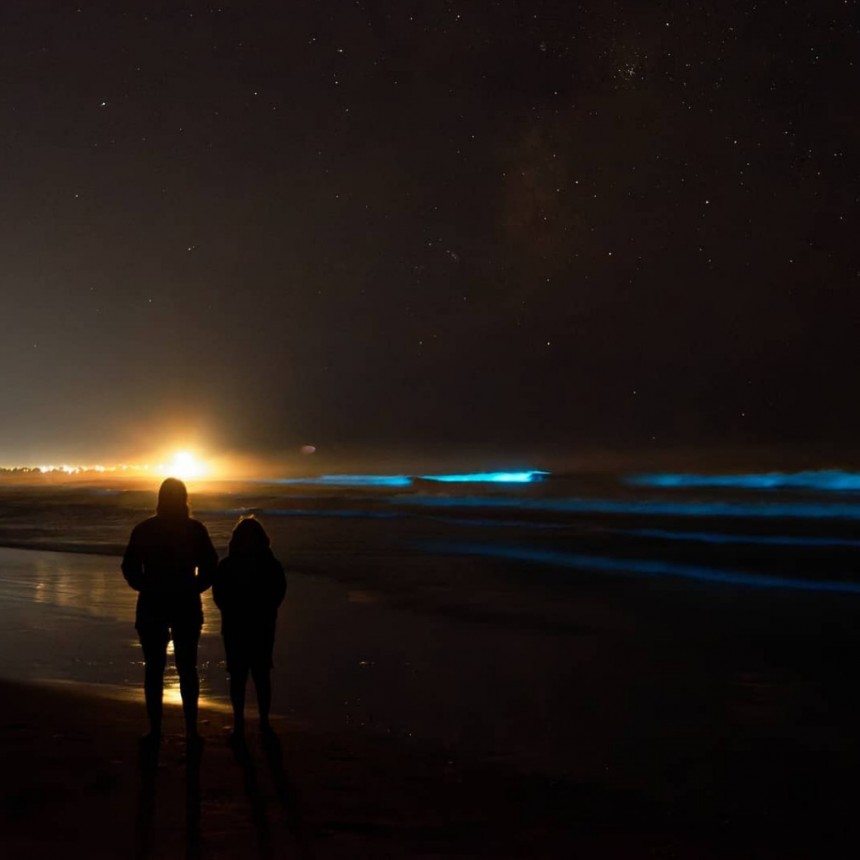 Noche de noctilucas en la costa de Rocha