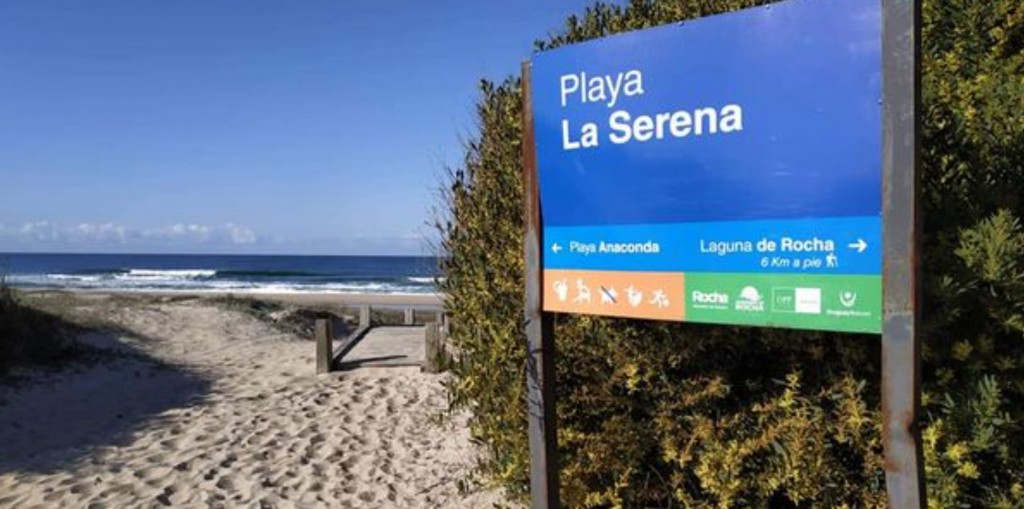 Caminata de reconocimiento de flora y fauna en La Serena
