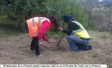 Jornada de limpieza en el Parque de Todos