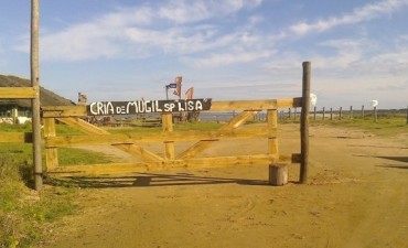EL MUNICIPIO Y LA PREFECTURA LIBERARON  ACCESO A PLAYA DE LOS BOTES