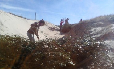 Regeneración dunar en Playa El Gavilán