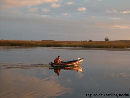 Ramsar 2015: proyecto de inversión francesa beneficiará a las lagunas de Rocha