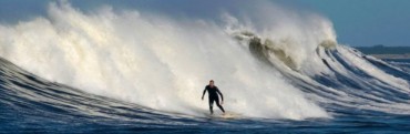 Surfistas a estudio
