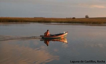 Ramsar 2015: proyecto de inversión francesa beneficiará a las lagunas de Rocha