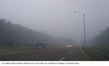 Atención Rocha: rige advertencia amarilla por nieblas 