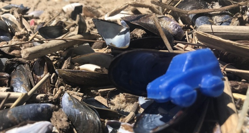 La Paloma se adhirió a la campaña Mares Limpios de la ONU